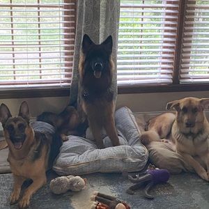 Meet your Posher, Robert